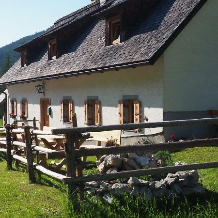 Zickerreith Almhütte Albergue Rosenau am Hengstpass Exterior foto